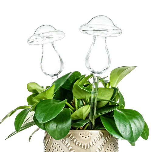 Kingbuy Self Watering Globes Plant Waterer Device Mushroom Shape Hand Blown Clear Glass Aqua Bulb for Indoor Outdoor Plants, 2 Pack Kingbuy Self Watering Globes Plant Waterer Device Mushroom Shape Hand Blown Clear Glass Aqua Bulb for Indoor Outdoor Plants, 2 Pack
