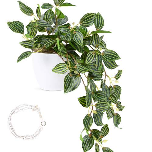 Waipfaru Fake Hanging Plant with Pot and Macrame Plant Hanger, Realistic Faux Plants Indoor, Small Fake Plants, Fake Potted Plants for Home Shelf Bathroom Kitchen Office Indoor Outdoor Decor Waipfaru Fake Hanging Plant with Pot and Macrame Plant Hanger, Realistic Faux Plants Indoor, Small Fake Plants, Fake Potted Plants for Home Shelf Bathroom Kitchen Office Indoor Outdoor Decor