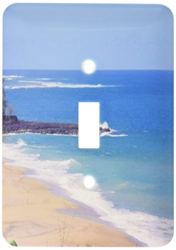 3dRose Lsp_23539_1 Hawaii Coastline Single Toggle Switch