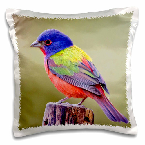 3D Rose Painted Bunting Male Bird Perched-Us44 Ldi1047-Larry Ditto Design Pillowcase, 16" x 16" 3D Rose Painted Bunting Male Bird Perched-Us44 Ldi1047-Larry Ditto Design Pillowcase, 16" x 16"