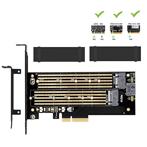 Dual M.2 PCIE Adapter for SATA or PCIE NVMe SSD with Advanced Heat Sink Solution,M.2 SSD NVME (m Key) or SATA (b Key) 22110 2280 2260 2242 2230to PCI-e 3.0 x 4 Host Controller Expansion Card