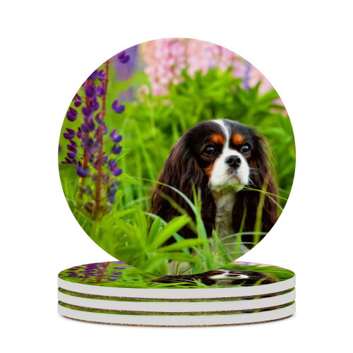Absorbent Coasters for Drinks Set of 4, Puppy Flower Cavalier King Charles Spaniel Round Ceramic Stone Coaster with Cork Base for Wooden Table Housewarming Gift