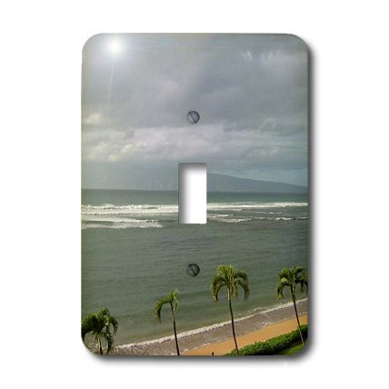 3dRose LLC lsp_29339_1 Palm Trees Along Maui Coast of Hawaii Travel, Single Toggle Switch