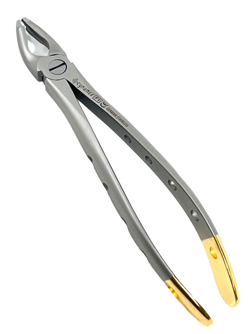 Dental Extracting Extraction Serrated Forceps F1, for Upper Anterior Region, Premium Quality Gold Handle, Stainless Steel