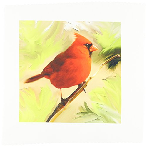 3dRose Red Cardinal Square Quilt Sheet, 10 by 10-Inch