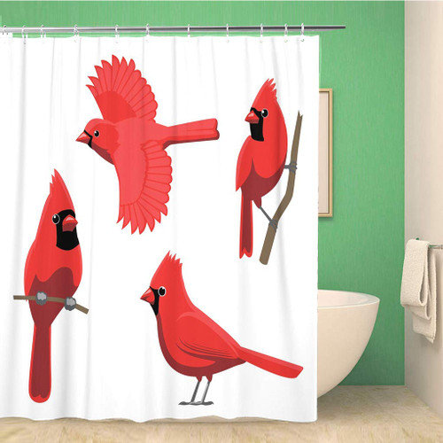 rouihot 66x72 Inches Shower Curtain Set with Hooks Bird Poses Northern Cardinal Home Decor Waterproof Polyester Fabric Bathroom Curtains
