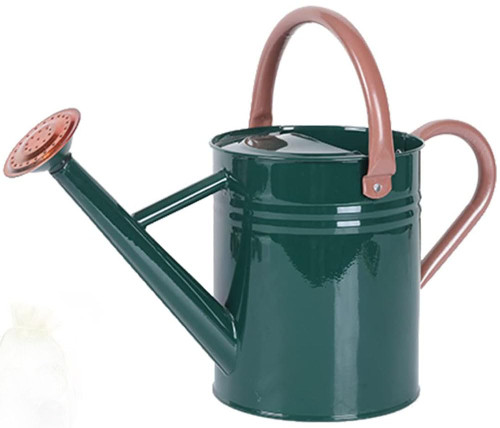 SunnyTong Metal Watering Can for Outdoor and Indoor Plants, Watering Can Decor, 1 Gallon (NewGreen)