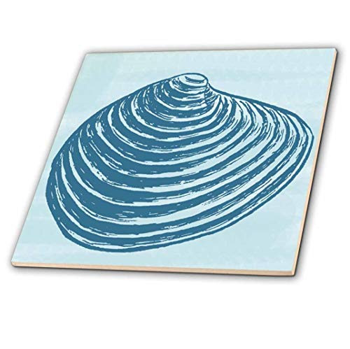 3dRose Blue Nautical Sea Shell - Ceramic Tile, 4-inch (ct_195673_1)