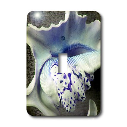 3dRose LSP_36929_1 Blue Purple Speckled Sea Shells Single Toggle Switch