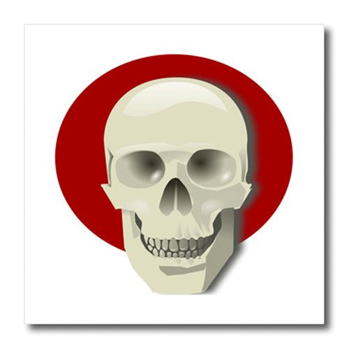 3dRose ht_46616_3 White Skull on Red Iron on Heat Transfer for White Material, 10 by 10-Inch