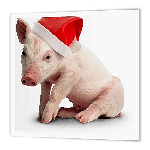 3dRose ht_4574_3 Christmas Pig-Iron on Heat Transfer for Material, 10 by 10-Inch, White