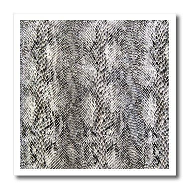 3dRose ht_62252_3 Faux Silver Snakeskin Iron on Heat Transfer for White Material, 10 by 10-Inch