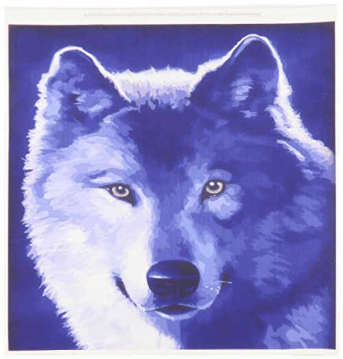 3dRose LLC Blue Wolf 10 by 10-Inch Iron on Heat Transfer for White Material 3dRose LLC Blue Wolf 10 by 10-Inch Iron on Heat Transfer for White Material