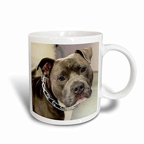 3dRose mug_173653_2 Pit Bull with Chain Collar Ceramic Mug, 15-Ounce
