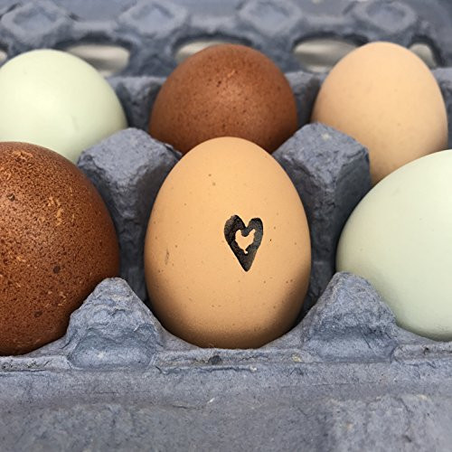 Chicken Heart Egg Stamp, Heart with Chicken Stamp, Mini Stamp, Egg Stamp, Wood Stamp, Rubber Stamp, Egg Carton Stamp, Fresh Eggs, .5" x .5"