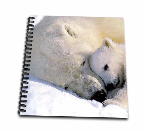 3dRose db_516_1 Polar Bear and Cub-Drawing Book, 8 by 8-inch, Multicolor