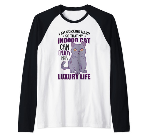 Funny Indoor Cat Kitty Raglan Baseball Tee