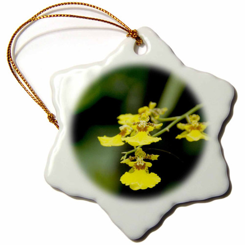 3dRose Singapore, Dancing Lady Orchid flower-AS32 CMI0072 - Cindy Miller... - Ornaments (orn-74043-1) 3dRose Singapore, Dancing Lady Orchid flower-AS32 CMI0072 - Cindy Miller... - Ornaments (orn-74043-1)