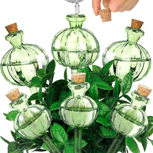 Yaomiao 6 Pcs Plant Watering Globes Self Watering Globes Cactus Self Watering Planter Insert Automatic Plant Watering Devices Glass Plant Watering Bulbs for Indoor and Outdoor Plants (Green) Yaomiao 6 Pcs Plant Watering Globes Self Watering Globes Cactus Self Watering Planter Insert Automatic Plant Watering Devices Glass Plant Watering Bulbs for Indoor and Outdoor Plants (Green)