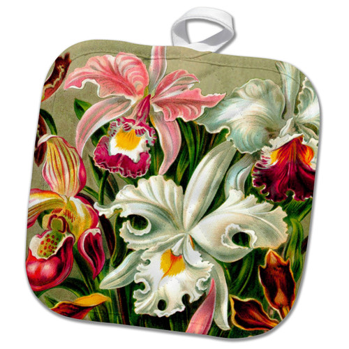 3dRose Pink and White Orchid Flowers Vintage Floral Art Orchids Flower... - Potholders (phl-365422-1)