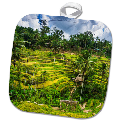 3dRose Rice Fields at Tegallalang Rice Terrace, Bali, Indonesia - Potholders (phl-366331-1)
