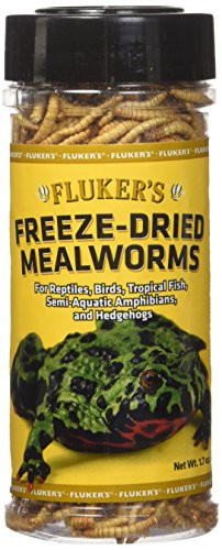 Fluker's Freeze Dried Mealworms Pet Food, 1.7-Ounce
