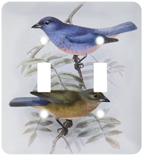3dRose lsp_202341_2 Vintage Blue and Peach Birds Double Toggle Switch