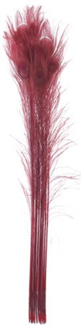 Zucker Feather (TM) - Peacock Eyes Bleached/Dyed - Red Zucker Feather (TM) - Peacock Eyes Bleached/Dyed - Red