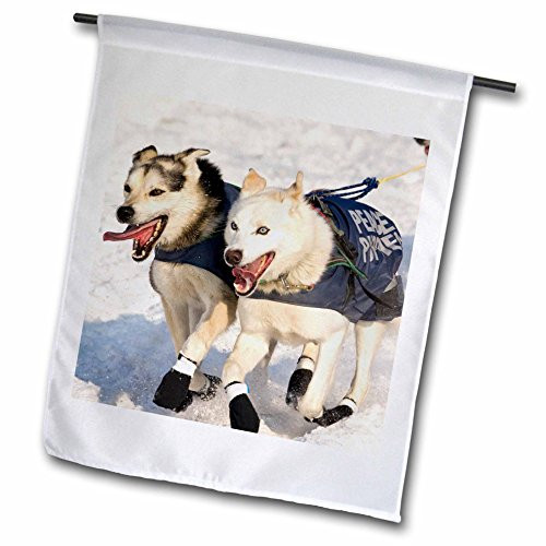 3dRose fl_84025_1 Dogs, Iditarod Start, Alaska-Na02 Dno0654-David Northcott Garden Flag, 12 by 18-Inch