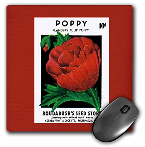 3dRose LLC 8 x 8 x 0.25 Inches Mouse Pad, Poppy Flanders Tulip Poppy With Pretty Red Flowers - (mp_170712_1)