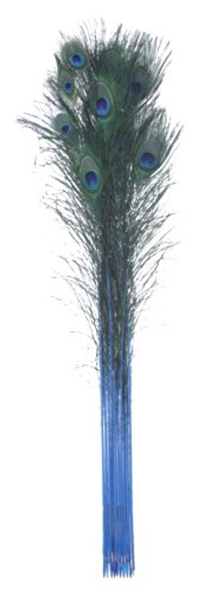 Zucker Feather (TM) - Peacock Feather Eyes Stem Dyed - Dark Turquoise Zucker Feather (TM) - Peacock Feather Eyes Stem Dyed - Dark Turquoise