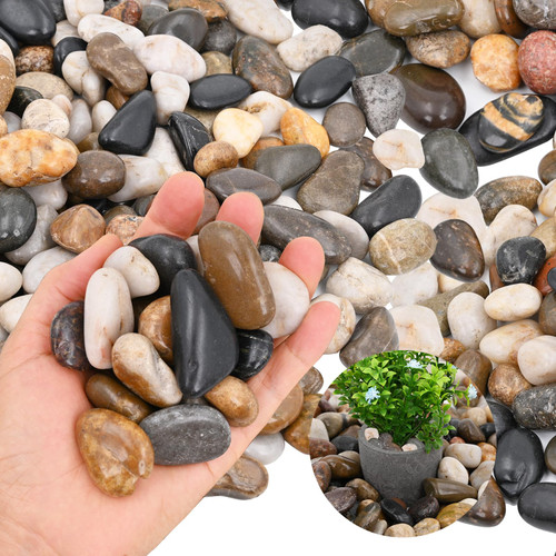 Lechloris 20Ib Rain Forest Rocks- Decorative Pebbles for Plants- River Rocks for Outdoor Landscaping- 0.3"-0.8" inch High Polished Stones for Aquarium, Terrarium,Vases, Home Decor Lechloris 20Ib Rain Forest Rocks- Decorative Pebbles for Plants- River Rocks for Outdoor Landscaping- 0.3"-0.8" inch High Polished Stones for Aquarium, Terrarium,Vases, Home Decor