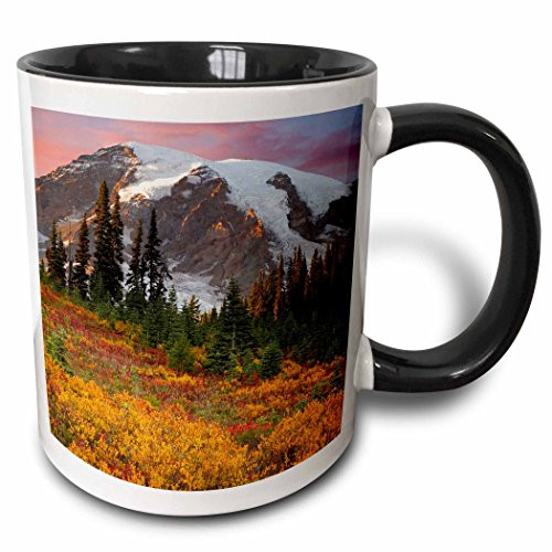 3dRose 95130_4 USA, Washington, Mount Rainier NP, Paradise area-US48 BJA0117-Jaynes Gallery Two Tone Mug 11 oz Black/White