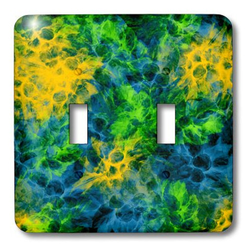 3dRose LLC lsp_32533_2 Seed Heads Natural Abstract In Blue Green And Yellow, Double Toggle Switch 3dRose LLC lsp_32533_2 Seed Heads Natural Abstract In Blue Green And Yellow, Double Toggle Switch