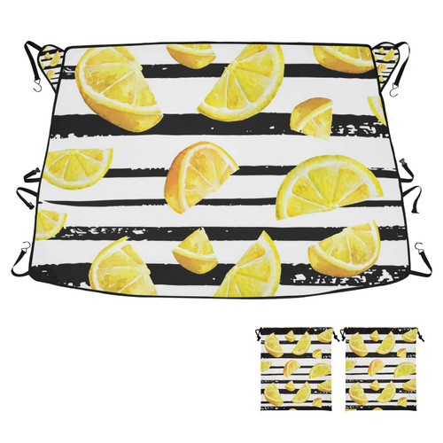 RunningBear Lemon Citrus Windshield Snow Cover Car Windshield Cover for Ice and Snow Windshield Snow Ice Cover Sun & Snow-Shade for Most Cars Trucks Vans SUVs