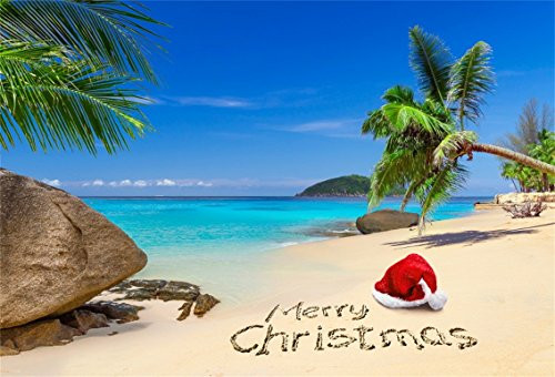 CSFOTO 7x5ft Christmas Party Background Seaside Beach Photography Backdrop Blue Sky Sea Ocean Year Travel Family Holiday Vacation Tourism Tour Photo Booth Studio Props Polyester Wallpaper