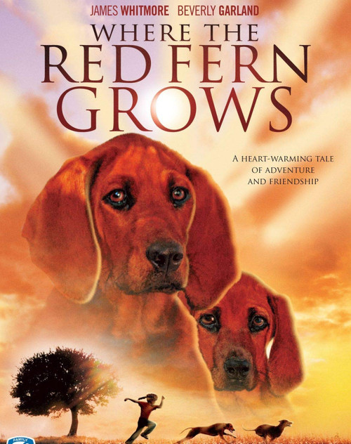 Where the Red Fern Grows [DVD]