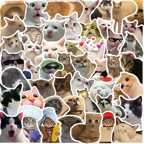 50pcs Funny Meme Cat Stickers for Kids Laptop,Cute Cartoon Aesthetic Vinyl Stickers Trendy Waterproof Decals for Water Bottle Travel Case Phone Scrapbook Guitar