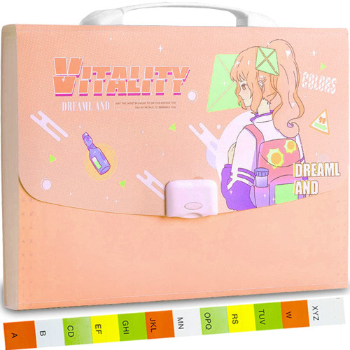 Accordian File Organizer?13 Pockets Expandable File Folder with Handle A4 Papers Letter Size Document Portable File Organizer, Expanding File Folder Expandable Filing Folders High Capacity/Pink