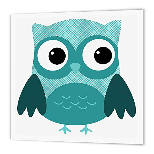 3dRose ht_167617_3 Cute Light Blue Plaid Owl Iron on Heat Transfer Paper for White Material, 10 by 10" 3dRose ht_167617_3 Cute Light Blue Plaid Owl Iron on Heat Transfer Paper for White Material, 10 by 10"