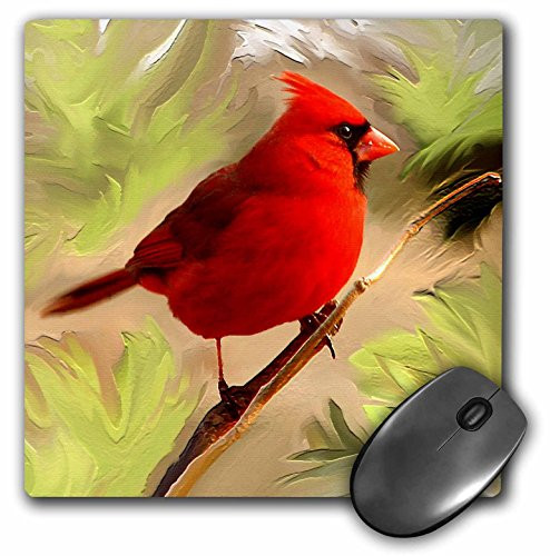 3dRose LLC 8 x 8 x 0.25 Inches Mouse Pad, Red Cardinal (mp_4442_1)
