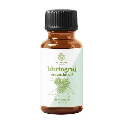 Bhringraj Oil - Premium Grade 100% Undiluted Essential Oil (1 Fl Oz) | for Aromatherapy, Soaps, Lotions, & Candles | Vegan & Cruelty Free Bhringraj Oil - Premium Grade 100% Undiluted Essential Oil (1 Fl Oz) | for Aromatherapy, Soaps, Lotions, & Candles | Vegan & Cruelty Free