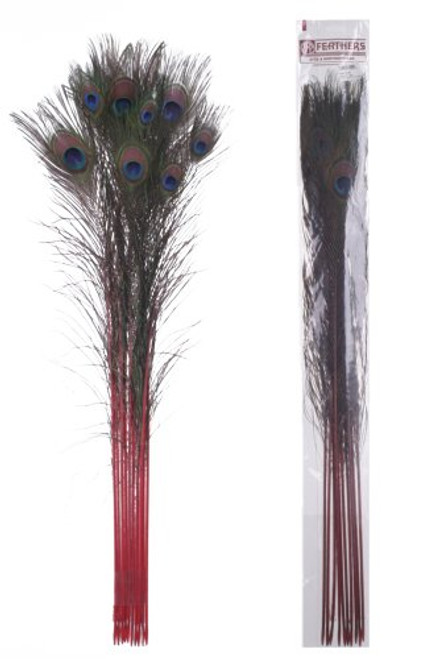 Zucker Feather (TM) - Peacock Feather Eyes Stem Dyed - Red Zucker Feather (TM) - Peacock Feather Eyes Stem Dyed - Red