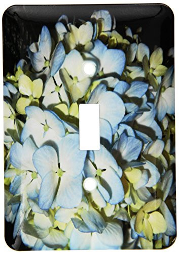3dRose lsp_201705_1 Baby Light Blue Colored Hydrangea Flowers - Single Toggle Switch