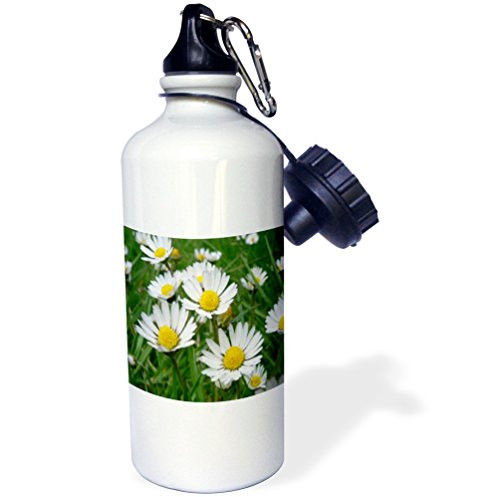 3dRose wb_3136_1 Daisy Sports Water Bottle, 21 oz, White 3dRose wb_3136_1 Daisy Sports Water Bottle, 21 oz, White