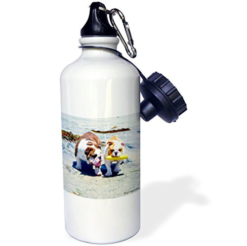 3dRose wb_46505_1"The English Bulldog Stroll" Sports Water Bottle, 21 oz, White 3dRose wb_46505_1"The English Bulldog Stroll" Sports Water Bottle, 21 oz, White