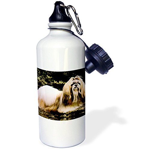 3dRose wb_508_1 Siberian Husky Sports Water Bottle, 21 oz, White
