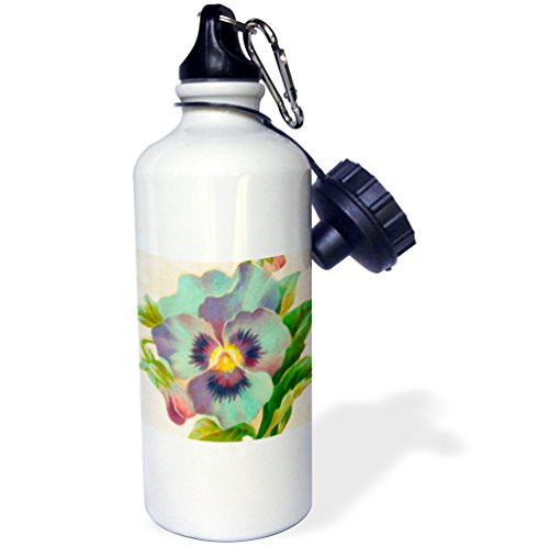 3dRose wb_60598_1 Pansy Watercolor Sports Water Bottle, 21 oz, White