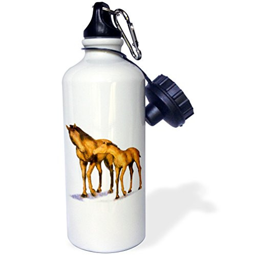 3dRose English Bulldog and Shih Tzu Puppies Sports Water Bottle, 21 oz, White 3dRose English Bulldog and Shih Tzu Puppies Sports Water Bottle, 21 oz, White