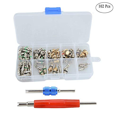 GVDOR Assortment A/C Schrader Valve Core&Tool 4 HVAC Cores, R134A Valve Core Remover Installer, R12 Valve Core Repair Kit